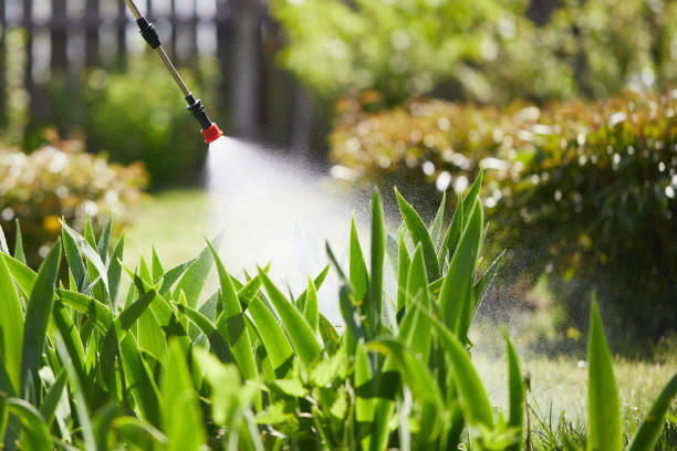 24/7 Emergency Ant Control experts in St. Marys, KS